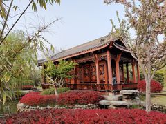-武汉园博园(武汉自然博物馆)