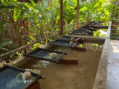 -大象粑粑造纸公园