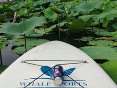 -WhaleSports户外水上运动俱乐部(朝阳公园店)