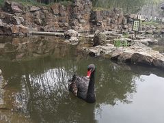 -水绘园
