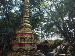 -瑞丽独树成林风景区