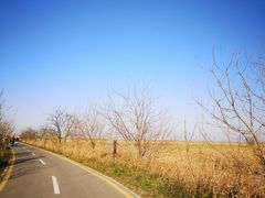-盐城丹顶鹤湿地生态旅游区