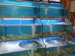 水产区-老东镇啤酒屋海鲜加工·蒸汽海鲜·海鲜烧烤(台东店)