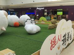 -阳光天地