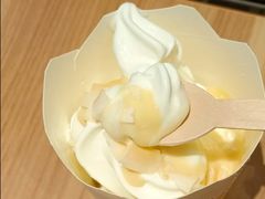 姜撞脆椰椰麦旋风-麦当劳(虹梅路地铁站店)