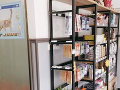 -伟伟宠物医院·瑞派猫友好医院·猫科(光谷店)