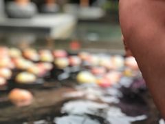 -深业半汤御泉庄温泉