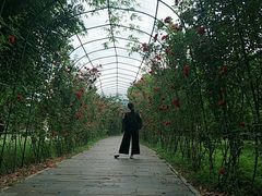 -东湖落雁景区