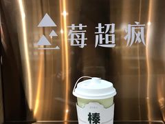 -莓超疯