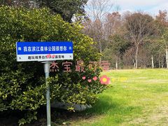 -上海滨江森林公园