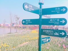 -荷兰花海