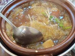 -大中鱼翅 Taitong Shark Fin