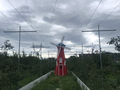 -意大利农场度假村