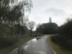 -梁鸿国家湿地公园