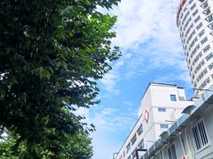 -华中科技大学同济医学院附属同济医院(汉口院区)