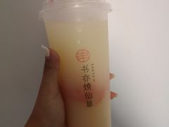 葡萄柚益菌多-书亦烧仙草(二七万达广场店)