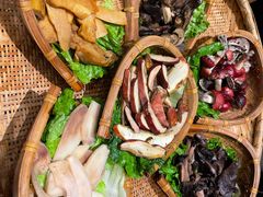 -滇野云南野生菌餐厅(陕西南路店)