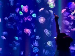 -海合安成都极地海洋公园
