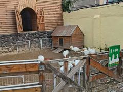 -HERRE·FARM 赫尔露营农场·团建聚会包场