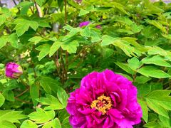 -东华门大街小区