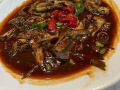 -八分饱·西津会(西津渡店)