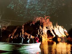 -怀托摩萤火虫洞