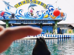 -海南分界洲岛旅游区