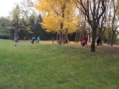 -元大都城垣遗址公园