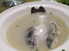 -金岛生态园烧烤露营地