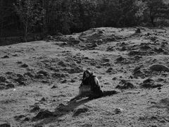 -硗碛藏寨·神木垒景区