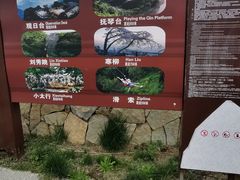 -王莽岭风景区