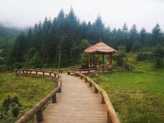 -硗碛藏寨·神木垒景区