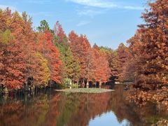 -应天大明王朝·南京菜(中山陵店)