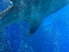 -珠海长隆海洋王国