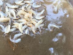 -汪记鲜鱼糊汤粉(沈阳路总店)