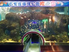 -石家庄海洋公园