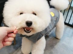 -小尾巴宠物店(万科·金域华庭店)