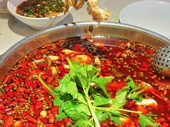 -蛙蛙鸡冷锅鱼(驷马桥店)