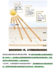 -春田皮肤管理中心品牌旗舰店