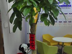 -智课教育国际高中备考托福雅思SATIB A-level AP国际课程中心(静安校区)