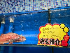 东星斑-蚝专家(北滘店)