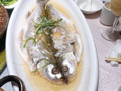 清蒸太湖白鱼-天福苑(崇宁路店)