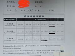 -宠颐生贝利健动物医院(谢家湾分院)