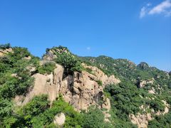 -大岭沟猕猴桃谷风景区