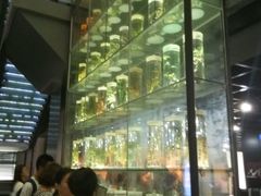 -广东中医药博物馆