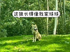 -北京野生动物园