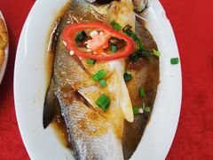 清蒸/红烧马友鱼-蛇口康乐快餐鱼仔档(翠苑小区店)