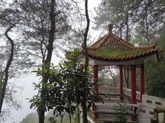 -铁山坪森林公园