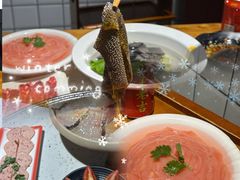 -莽子老火锅(大坪店)