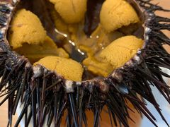 -海胆小馆(东北水饺·春柳店)